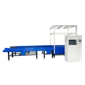 Singulation Conveyor