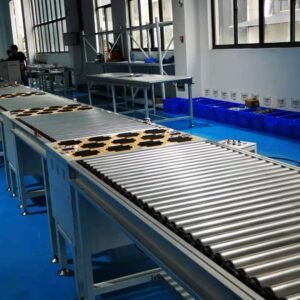 Sorting Conveyor System for cartons