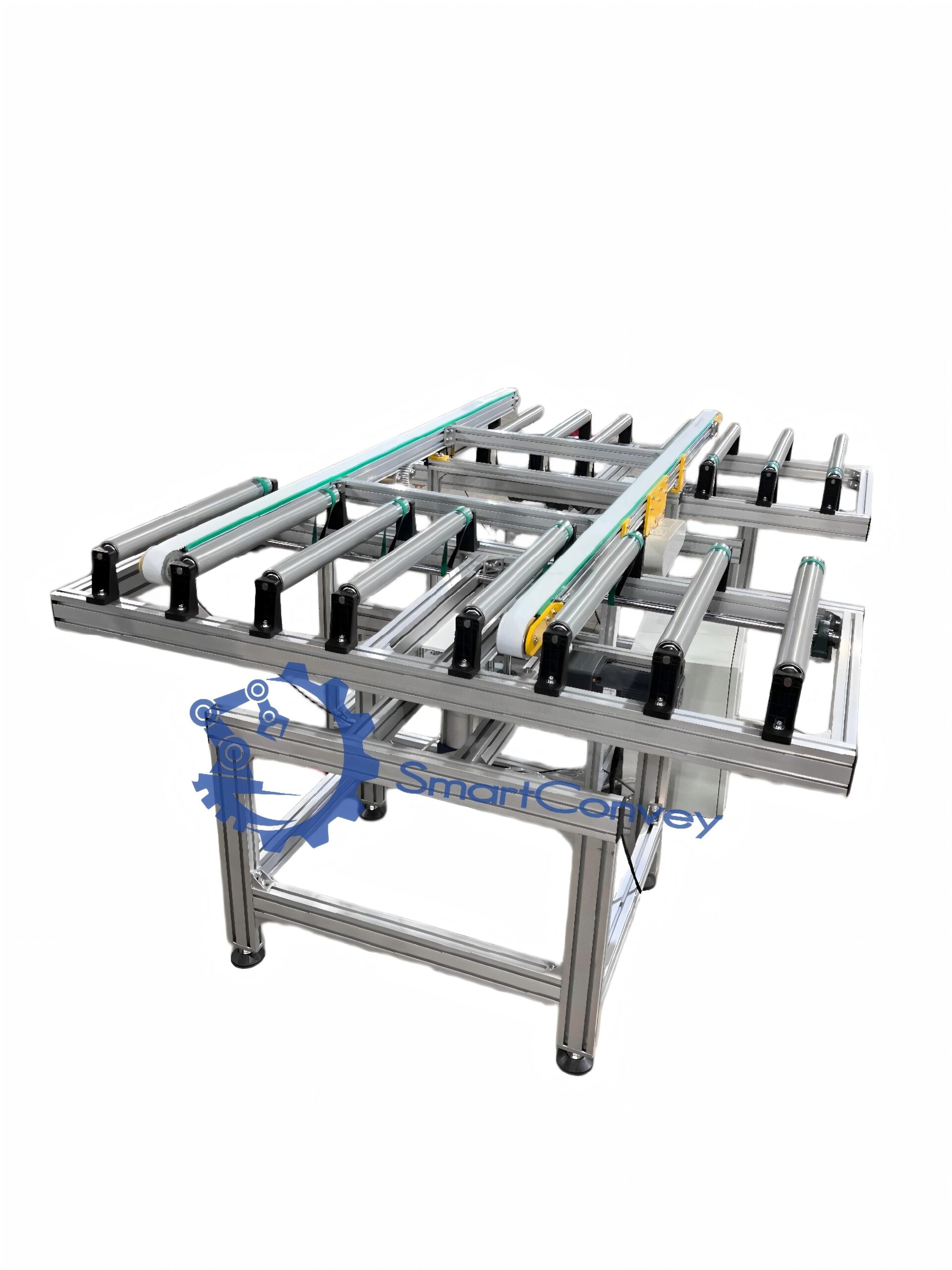 Flexible Roller Conveyor Integrated System for Long Trays and Cartons - Image 4